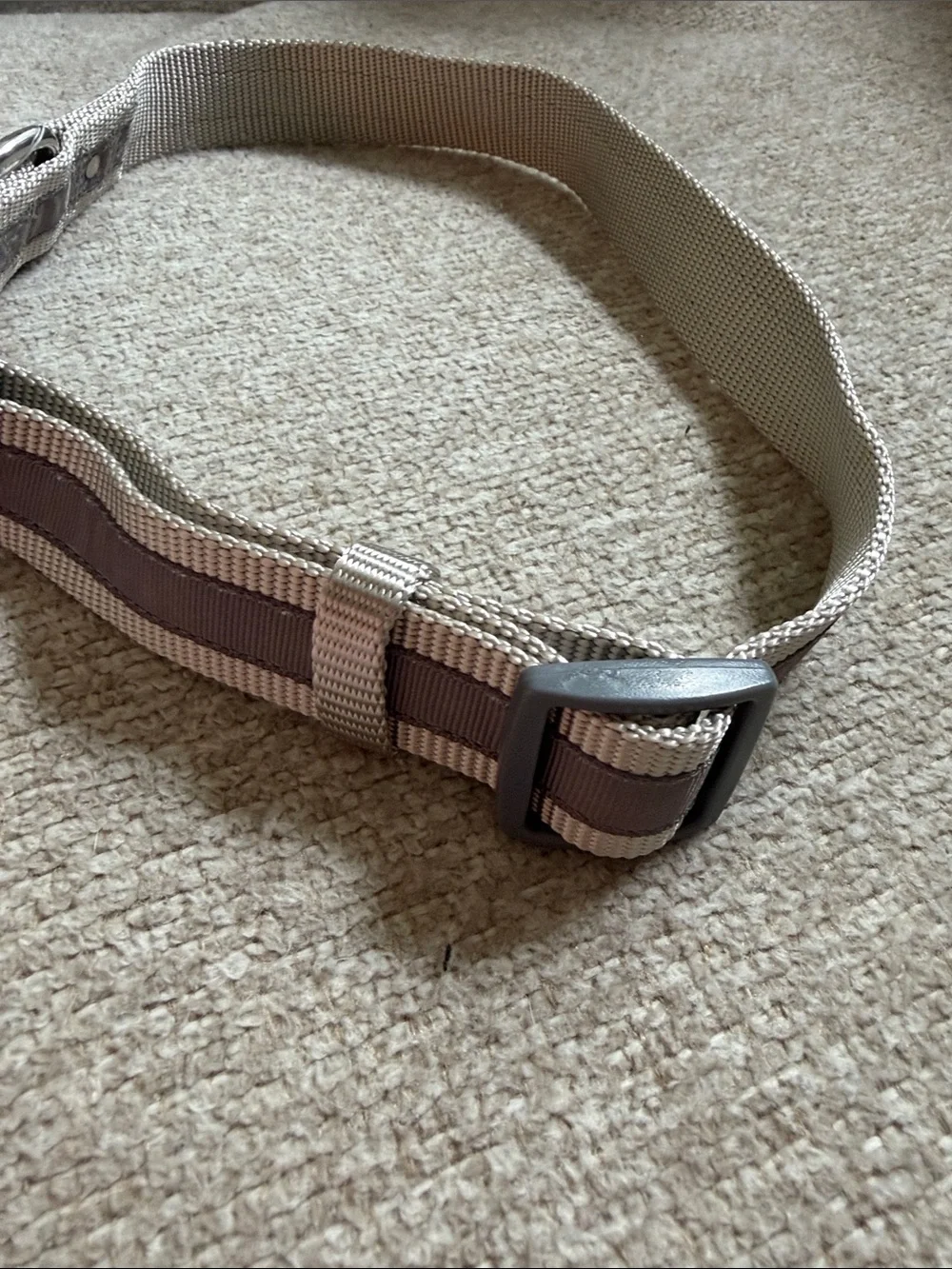 Martha Stewart Tan and Dark Grey Adjustable Nylon Dog Collar